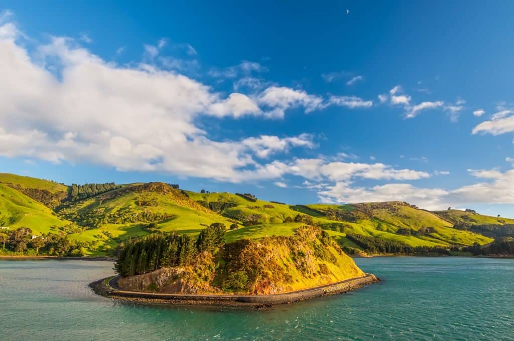 Península de Otago