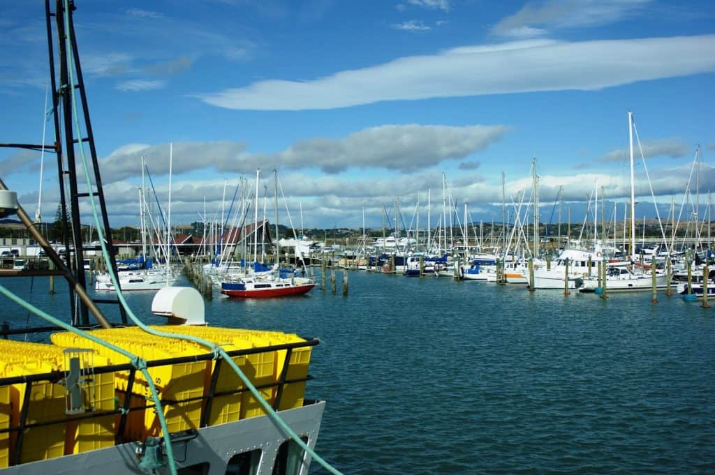 Puerto de Napier