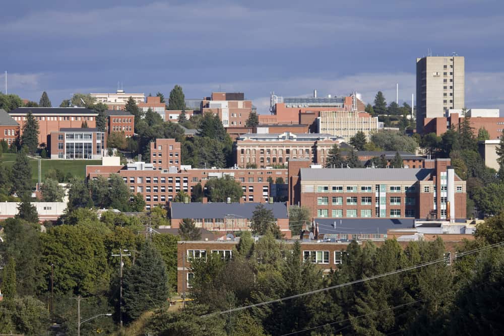 INTO Washington State University