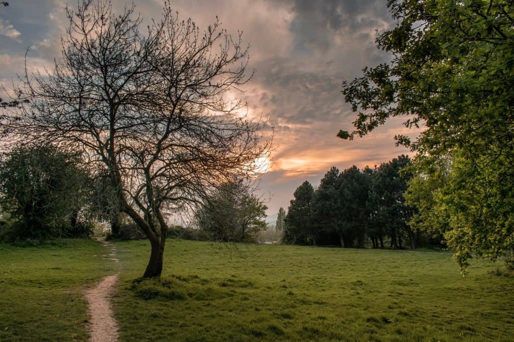 Parque Rural de Robinswood Hill