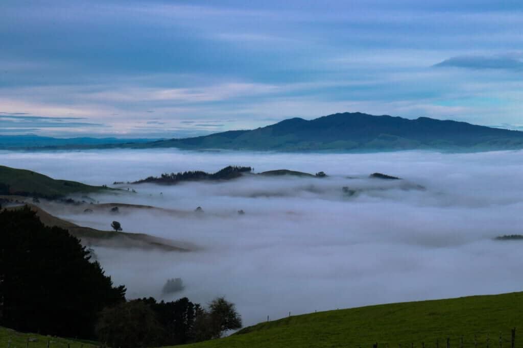 Sanctuary Mountain – Maungatautari