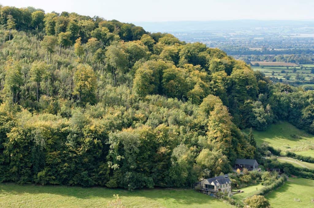 Selsley Common