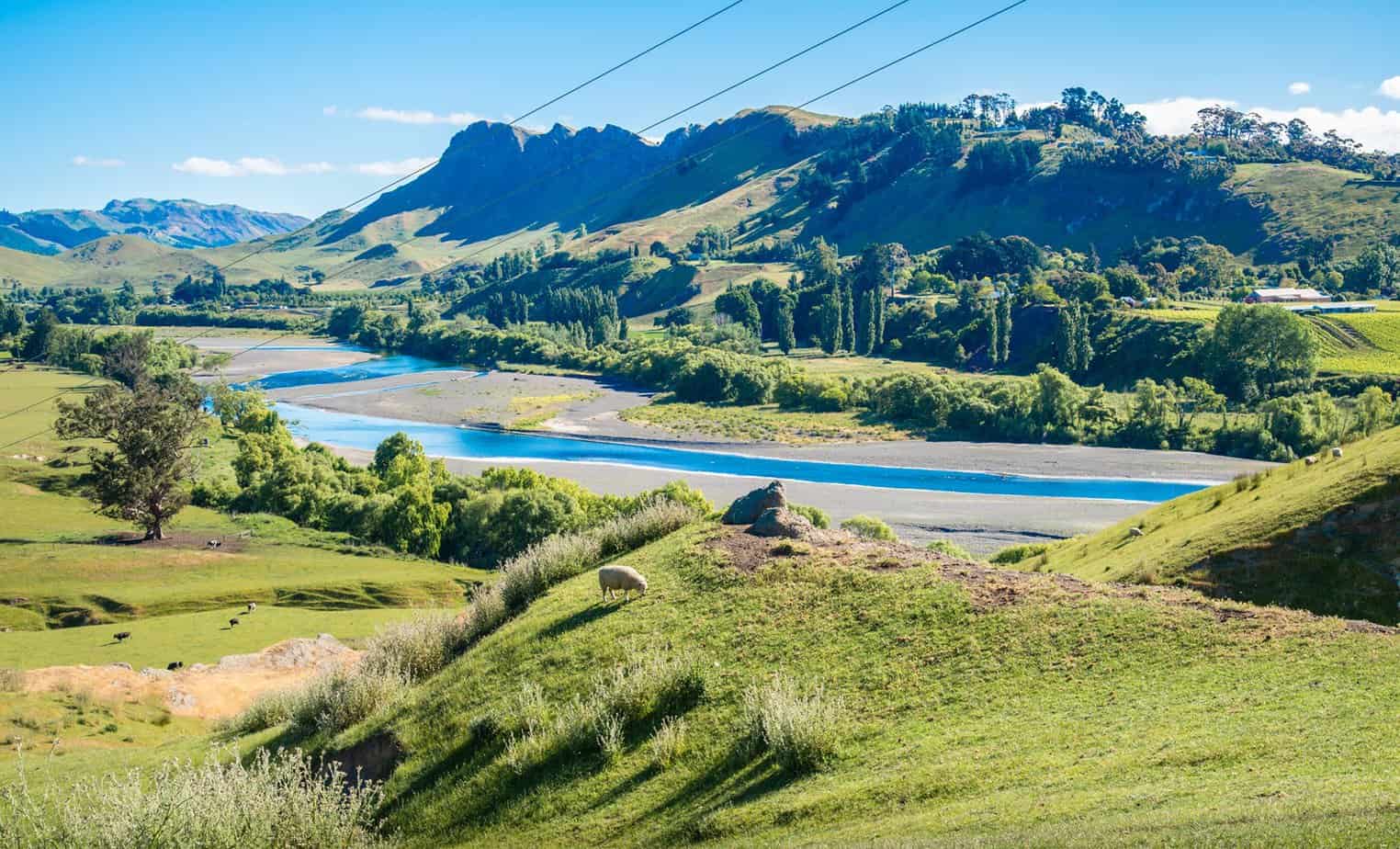 Te Mata Peak