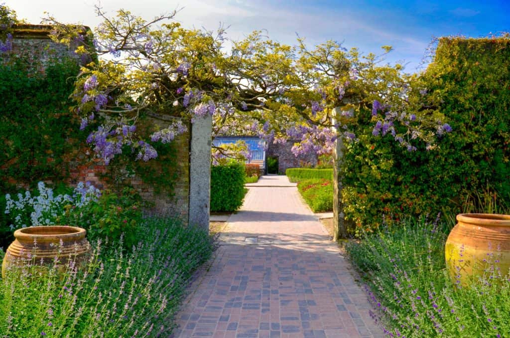 Los jardines perdidos de Heligan