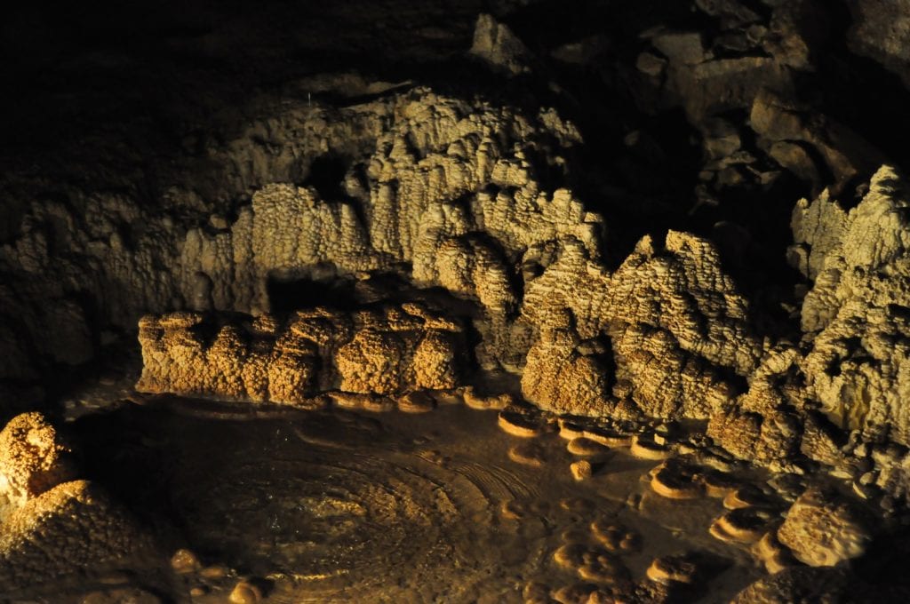 Waitomo Caves