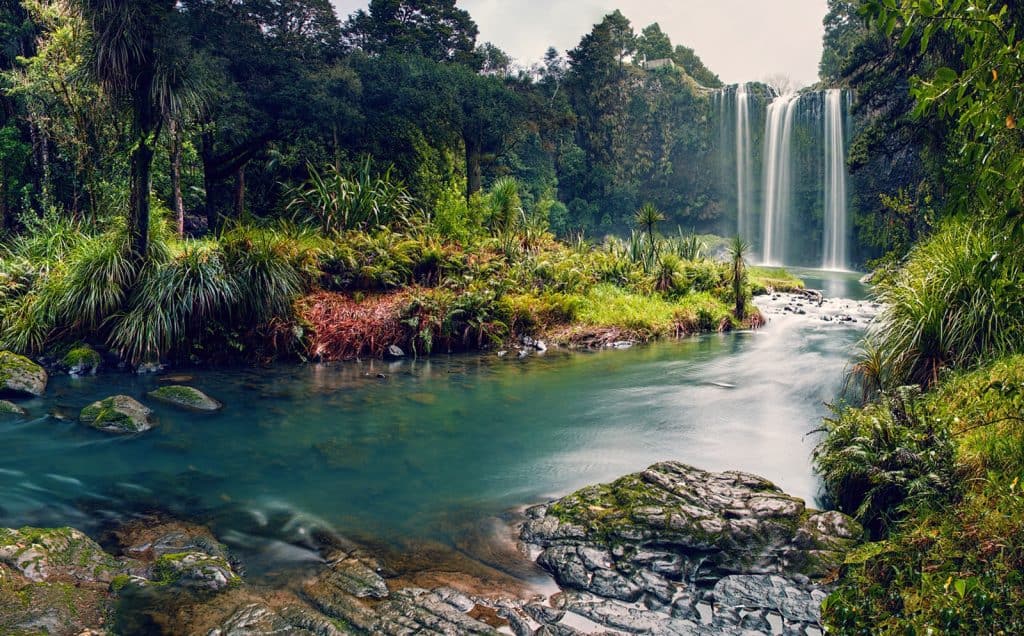 Whangarei Falls