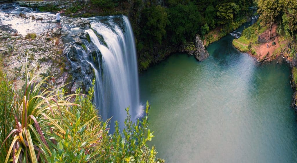 Whangarei Falls