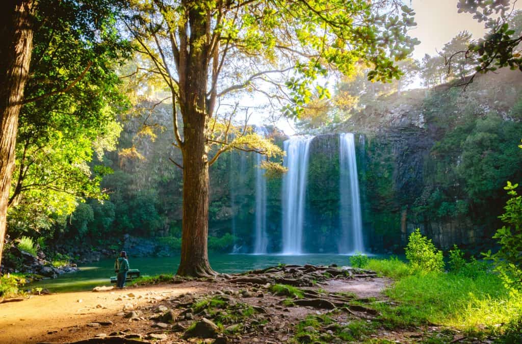 Whangarei Falls