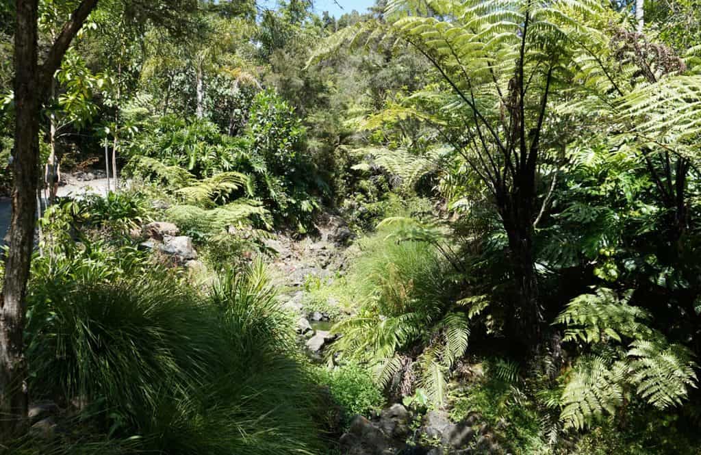 Whangarei Quarry Gardens