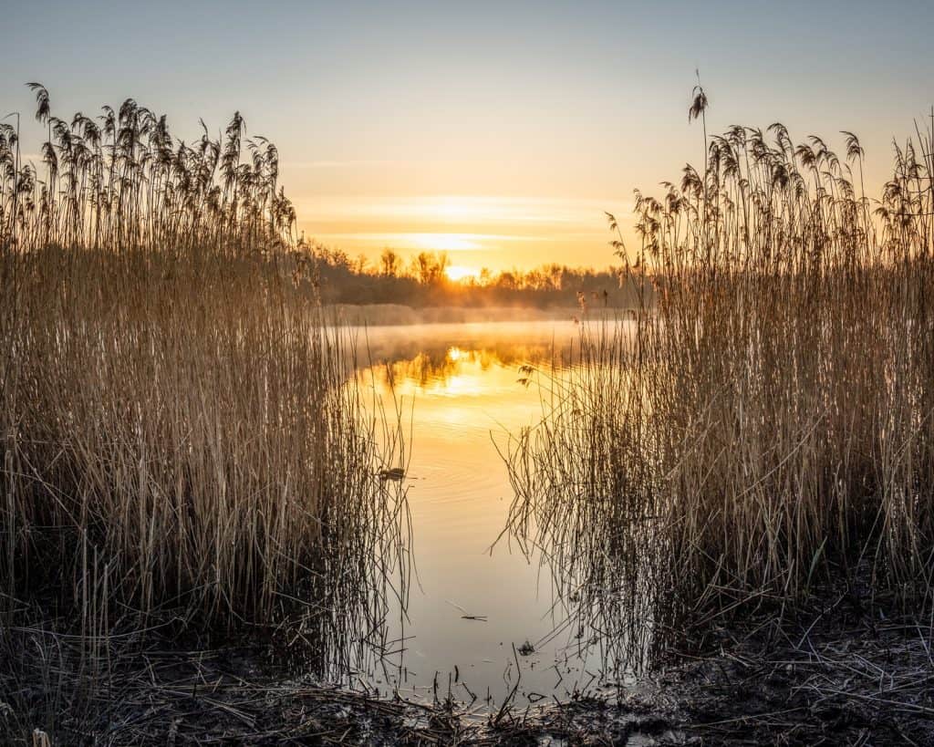 Reserva Natural Local de Wigan Flashes