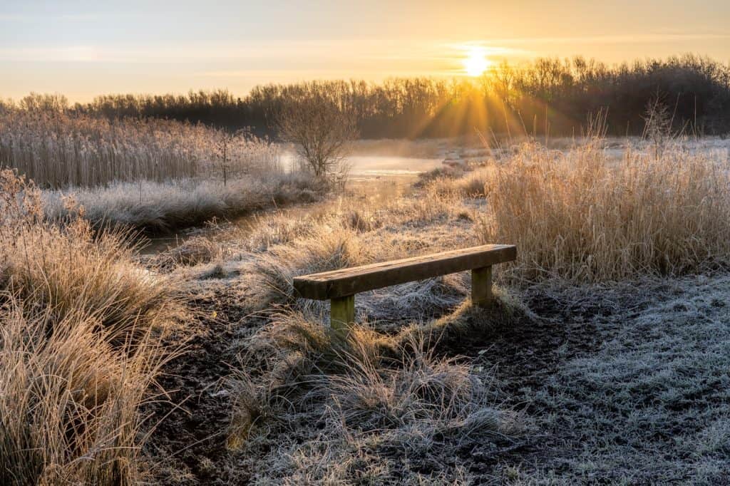 Reserva Natural Local de Wigan Flashes