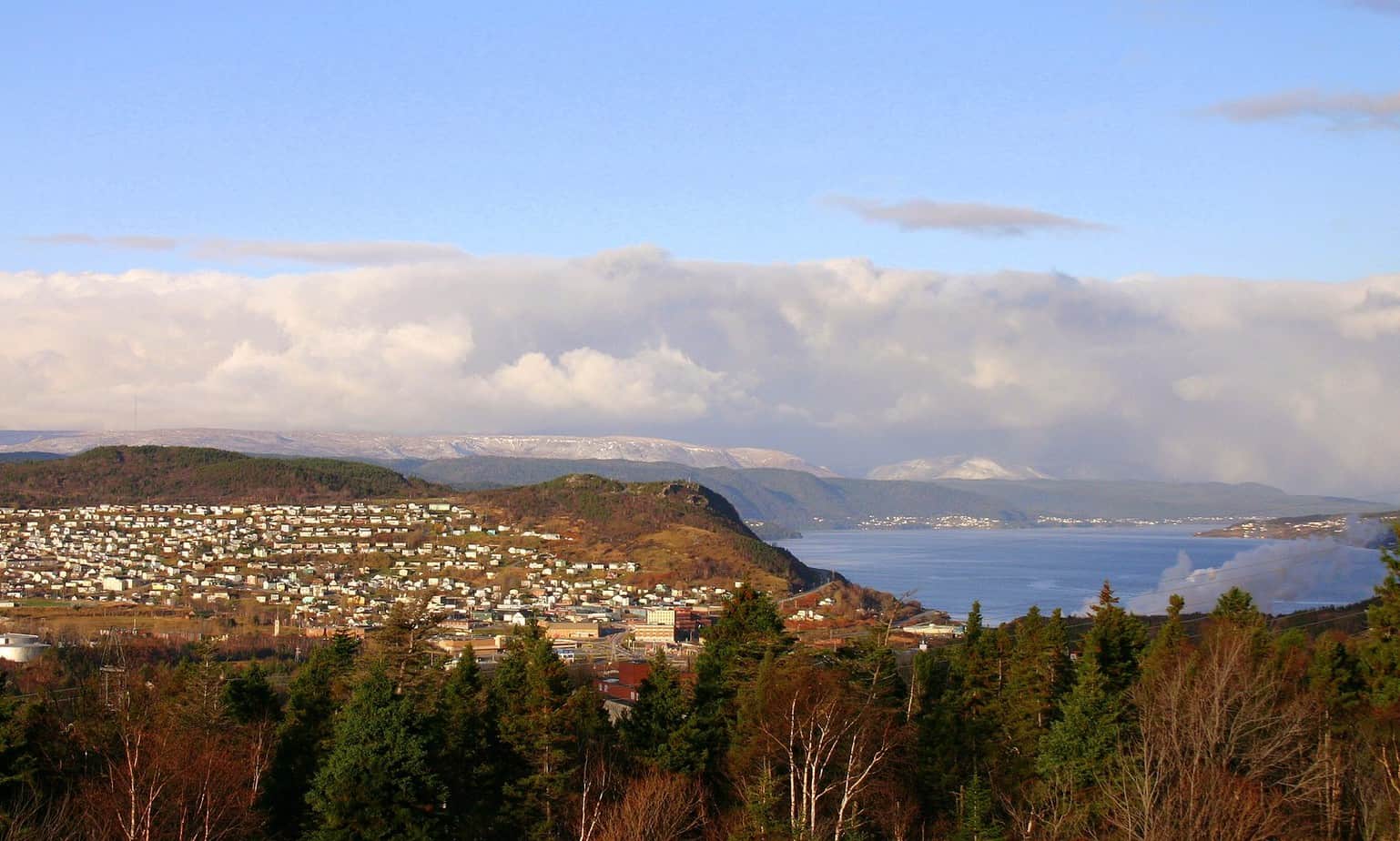 Memorial University of Newfoundland