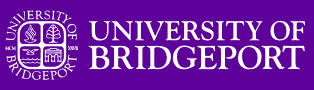 Estudiar inglés en Bridgeport, Connecticut, Estados Unidos en English Language Institute – University of Bridgeport